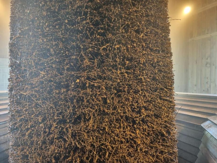 Ferienwohnung Direkt Am Kurpark Mit Gradierwerk Solestadt Bad Dürrenberg Exterior foto